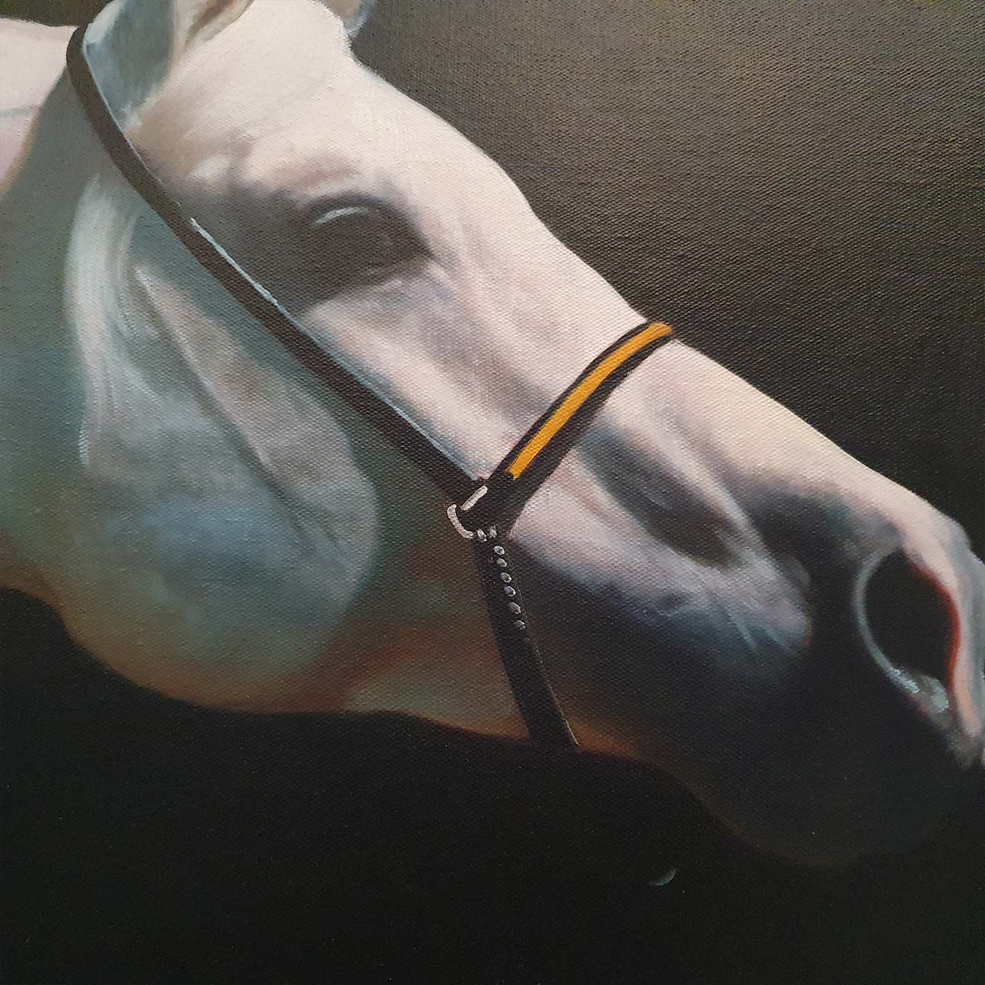 Cuadro Caballo Blanco 100x80 cm textura