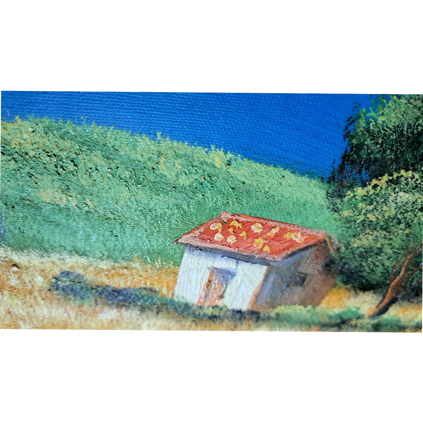 Cuadro Casita Árbol 60x50 cm