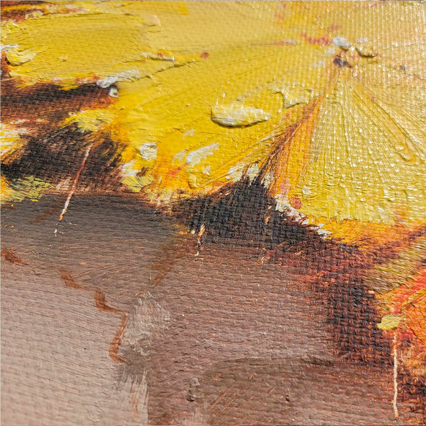 Water Lilies La Charca painting 103x75 cm