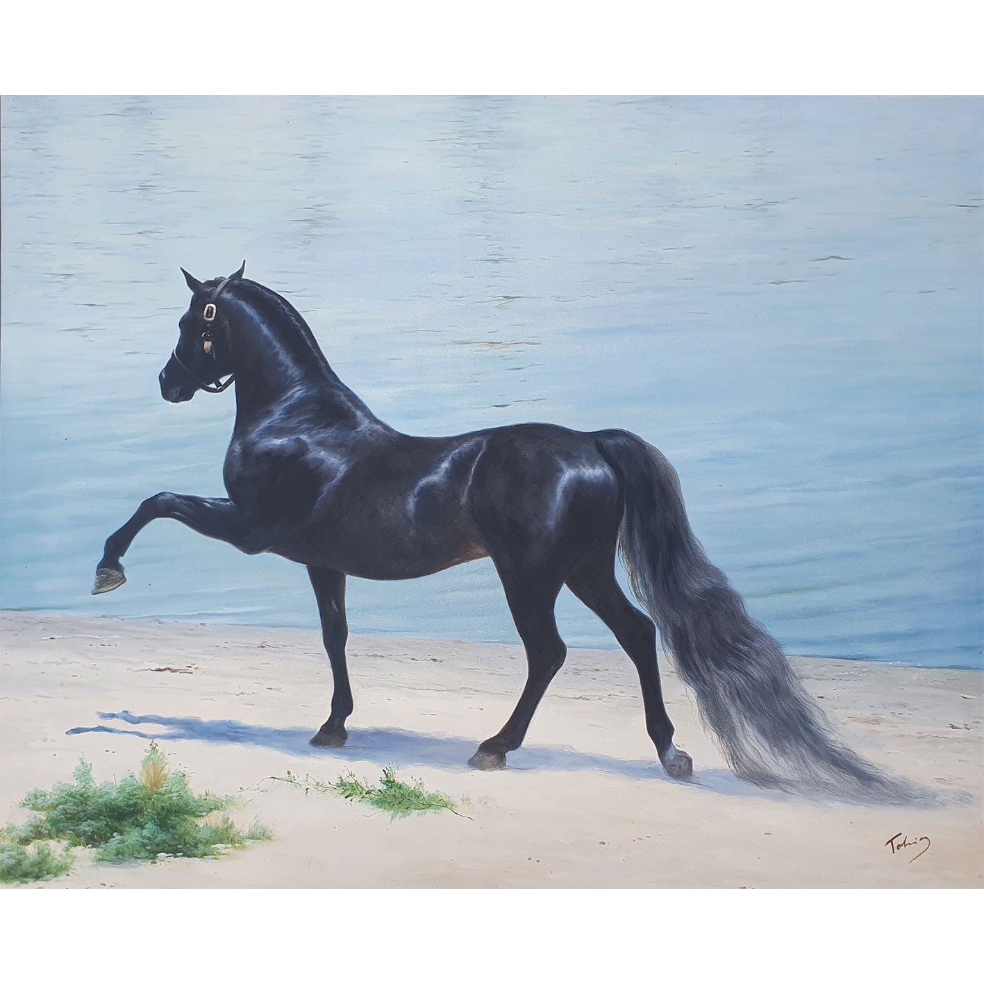 Schwarzes arabisches Pferdegemälde 100x80 cm