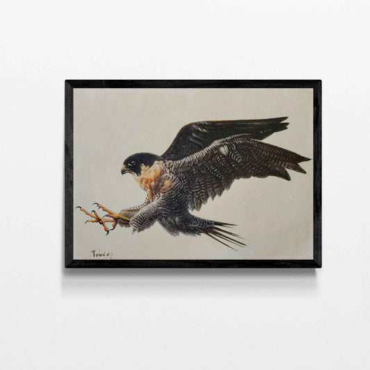 Pintura Aves Rapaces 56x40 cm