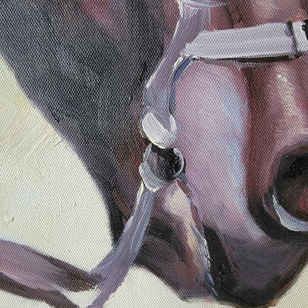 Original Horse Painting II 55x48 cm