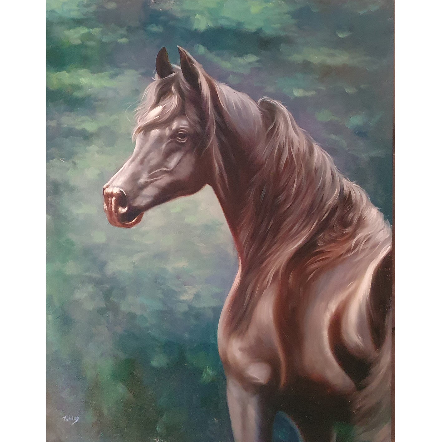 Cuadro Caballo Arabe 100x80 cm