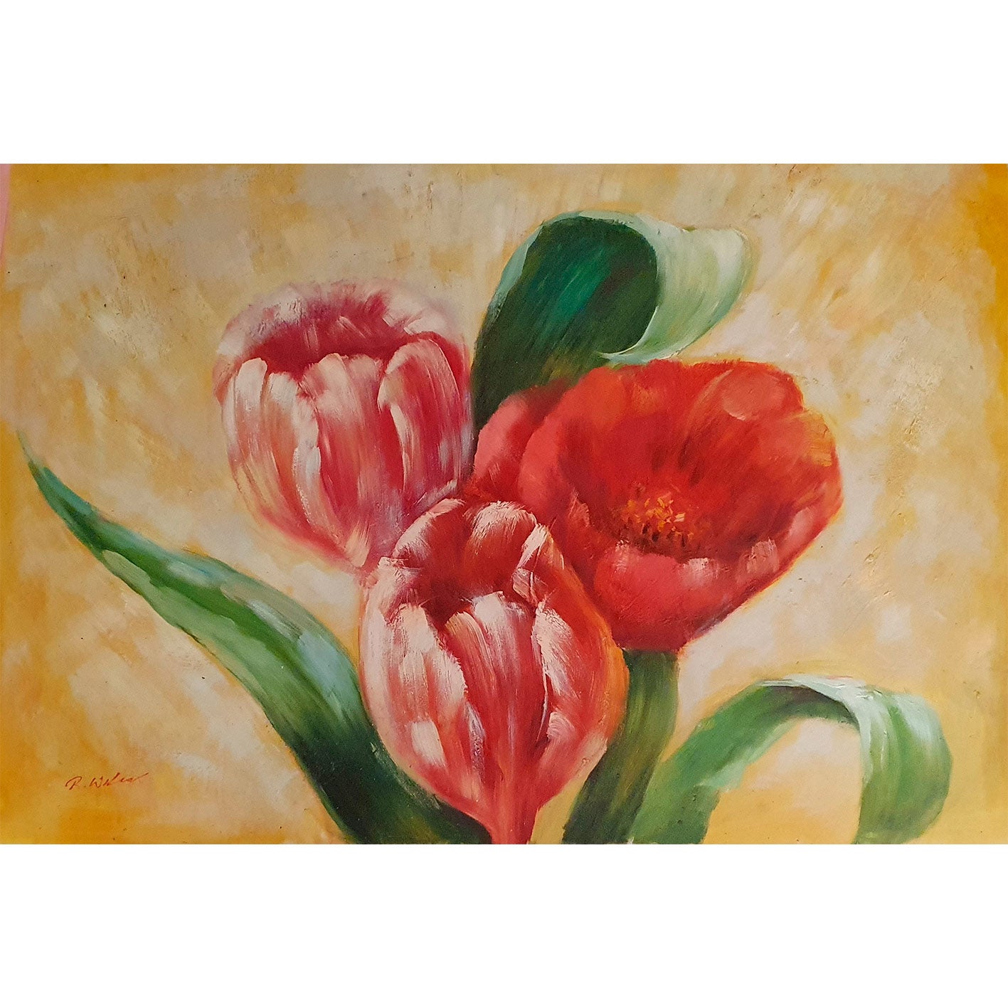 Cuadro Tulipanes Decor 90x60 cm