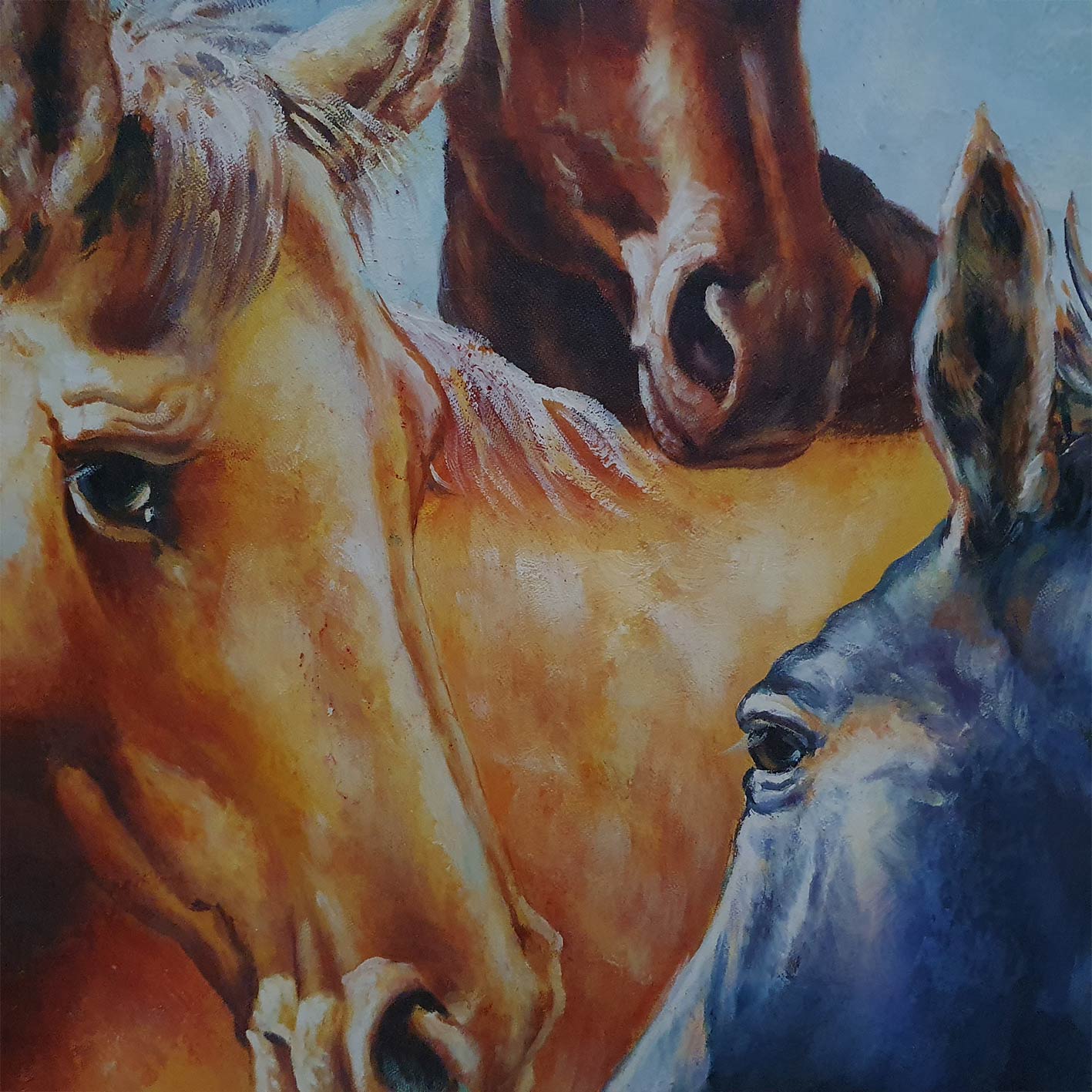 Herde Pferde Gemälde 50x60 cm