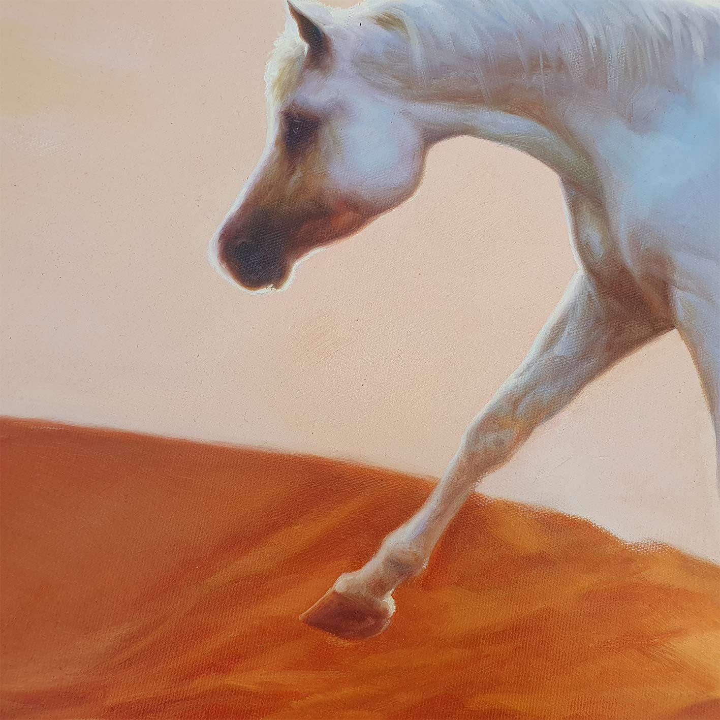 Wüstenpferd-Gemälde 100x80 cm