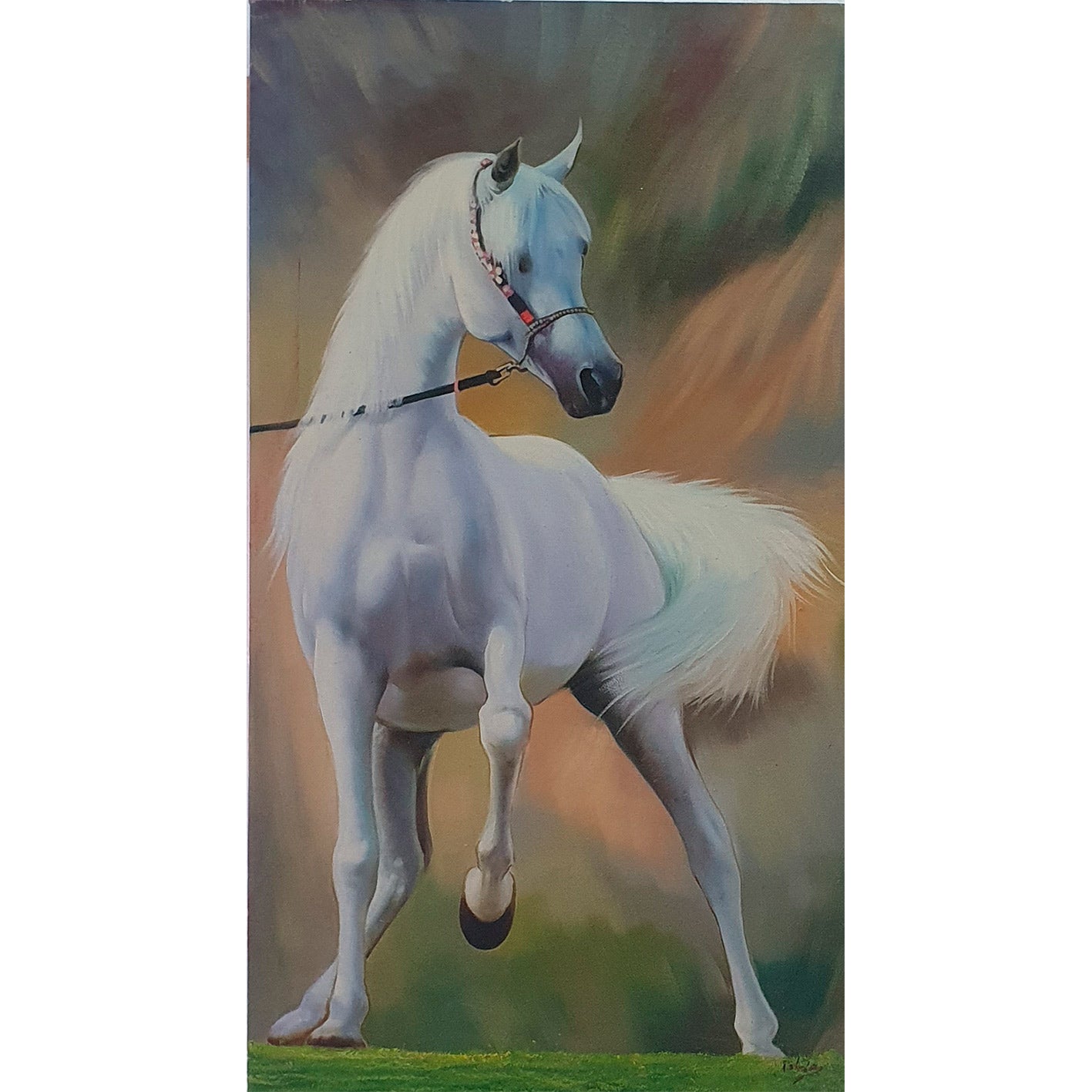 Arabian Horse Painting 50x90 cm